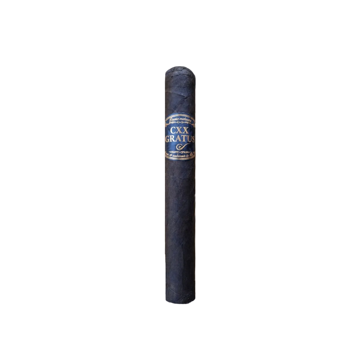 CXX Gratus Toro