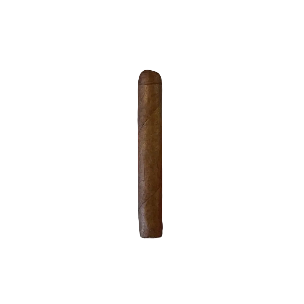 Junction Robusto Single