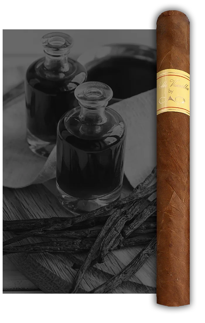 CAO Bella Vanilla Petit Corona