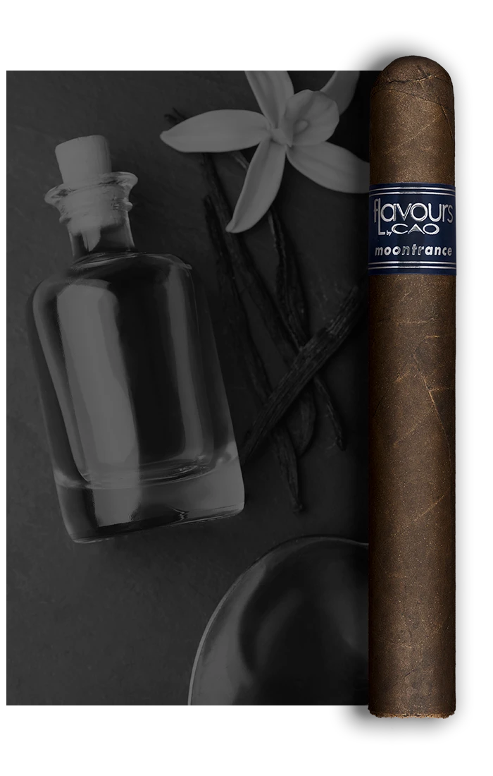 CAO Moontrance Petit Corona