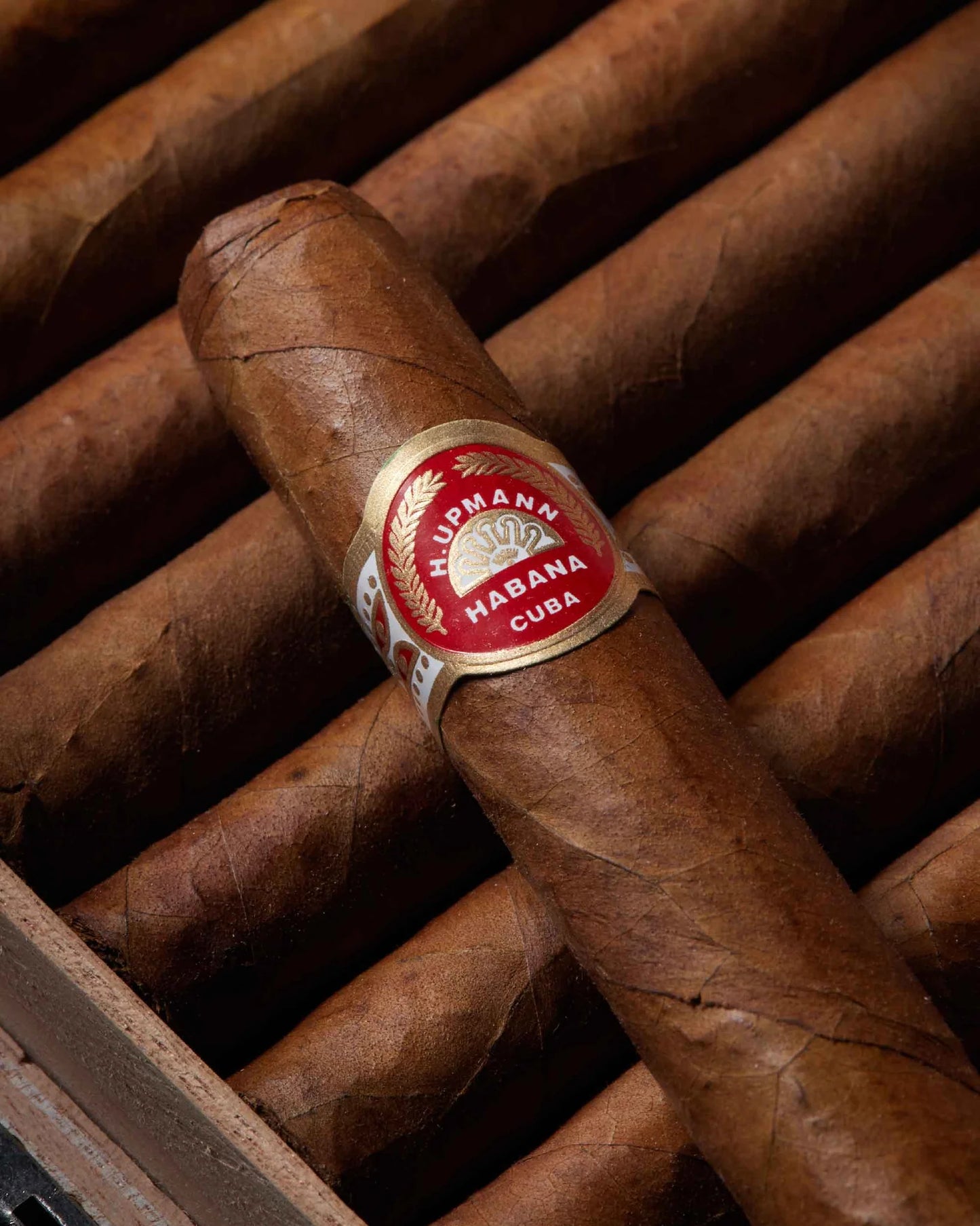 H. Upmann Sir Winston Box 25