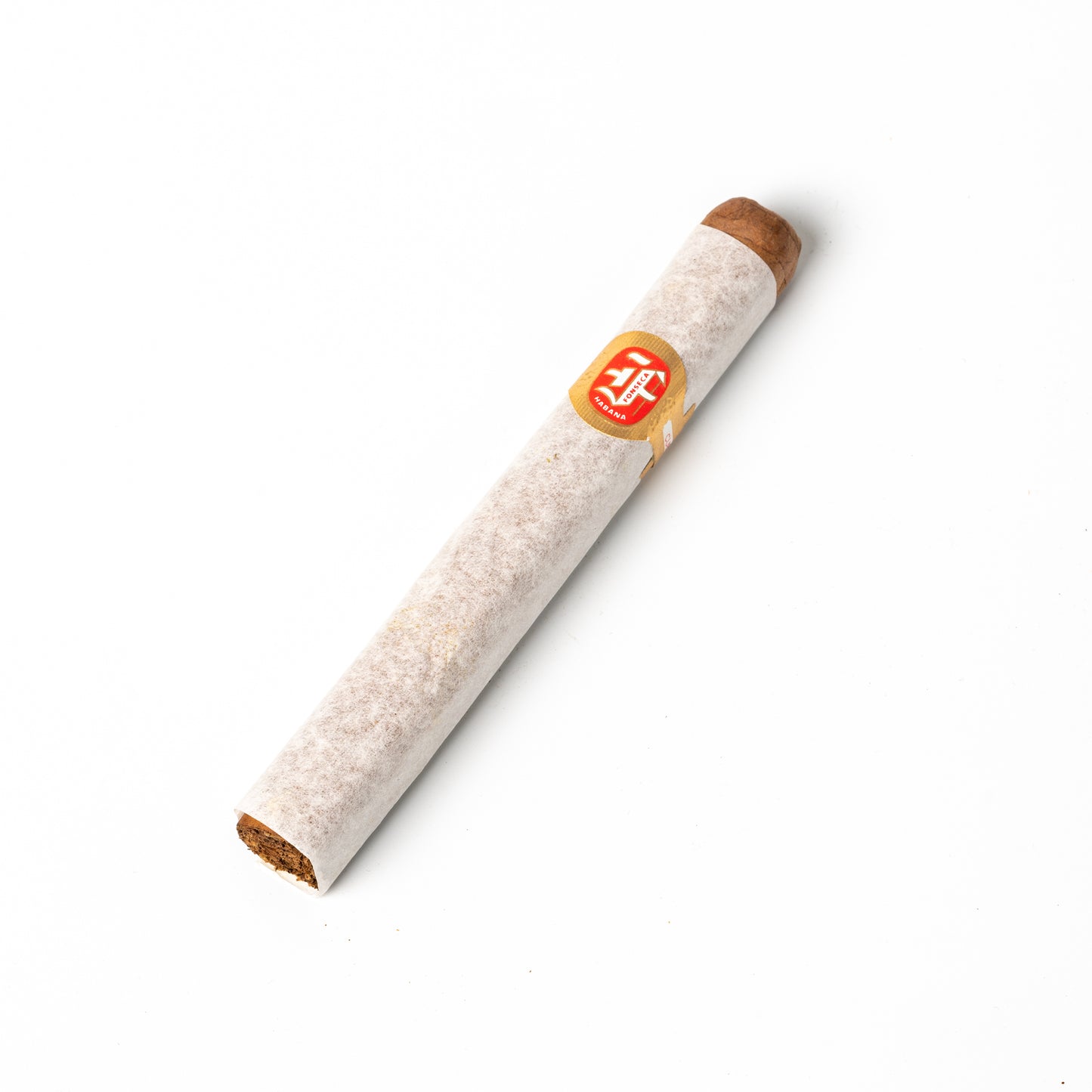 Fonseca Delicias HF