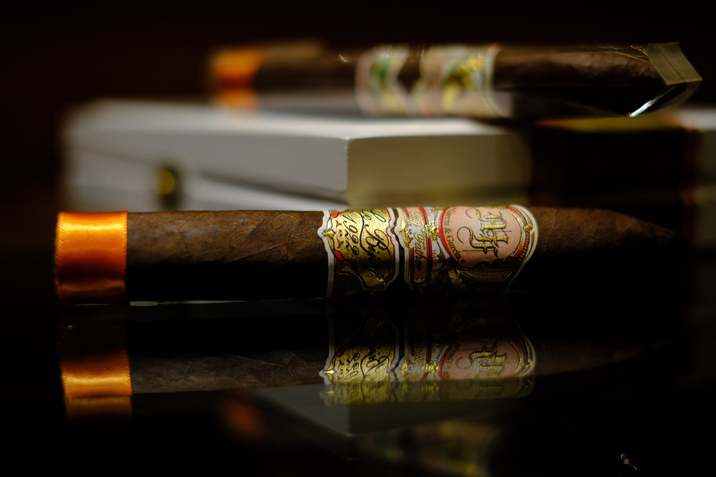 My Father Le Bijou 1922 Torpedo Box-Pressed - Bundle of 10