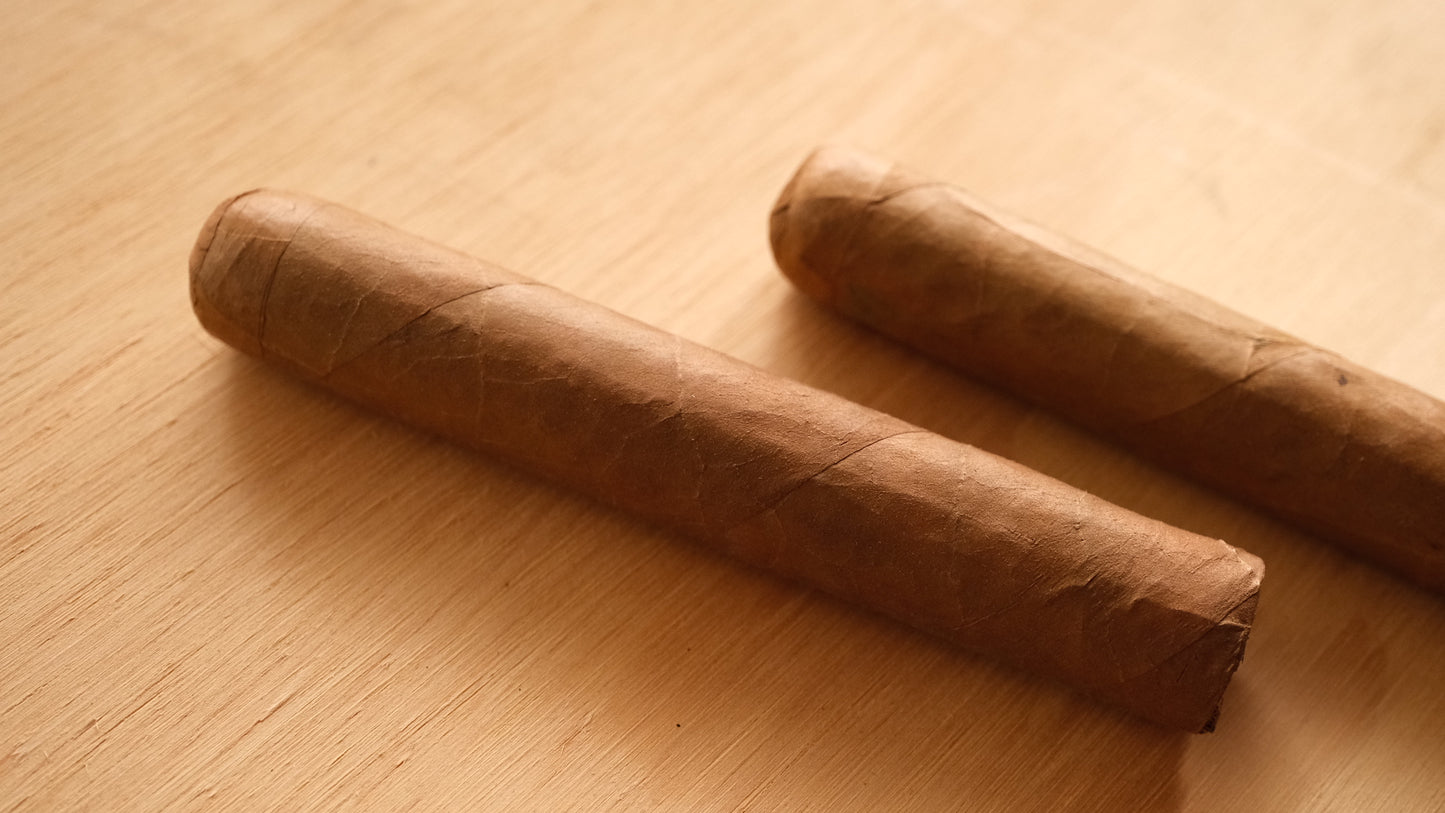 House Blend Nicaragua Robusto