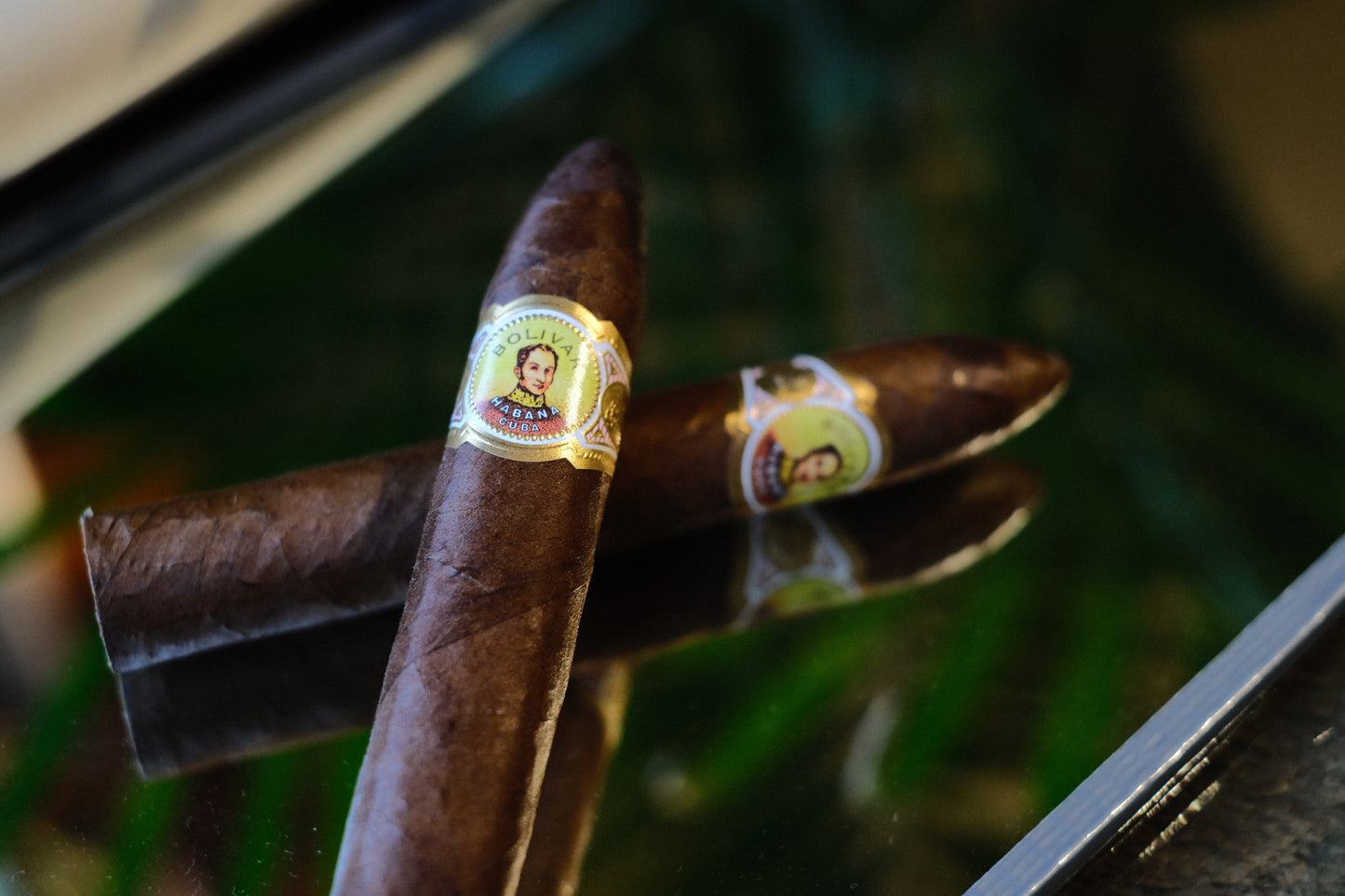 Bolivar Belicosos Finos HR