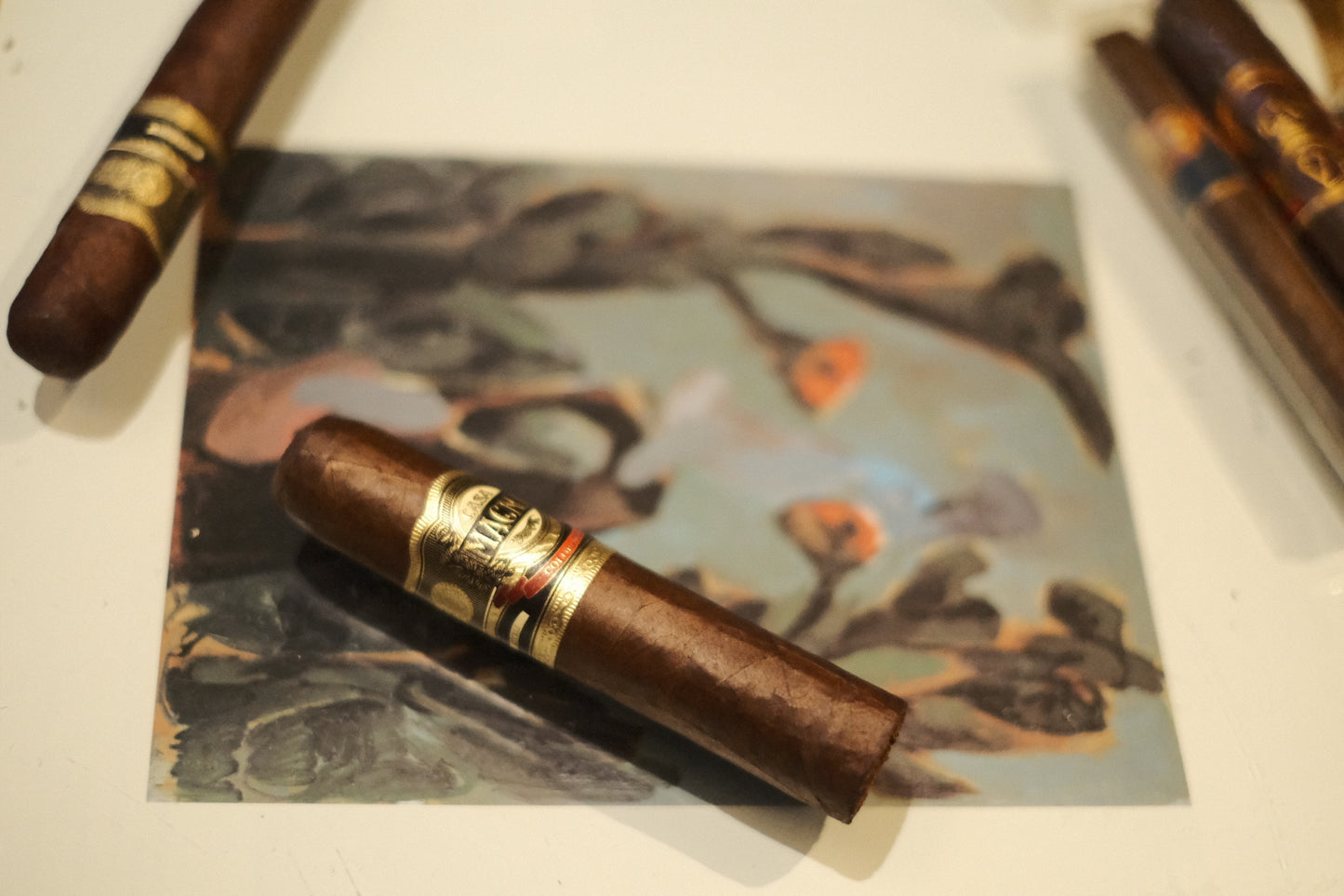 Casa Magna Torito