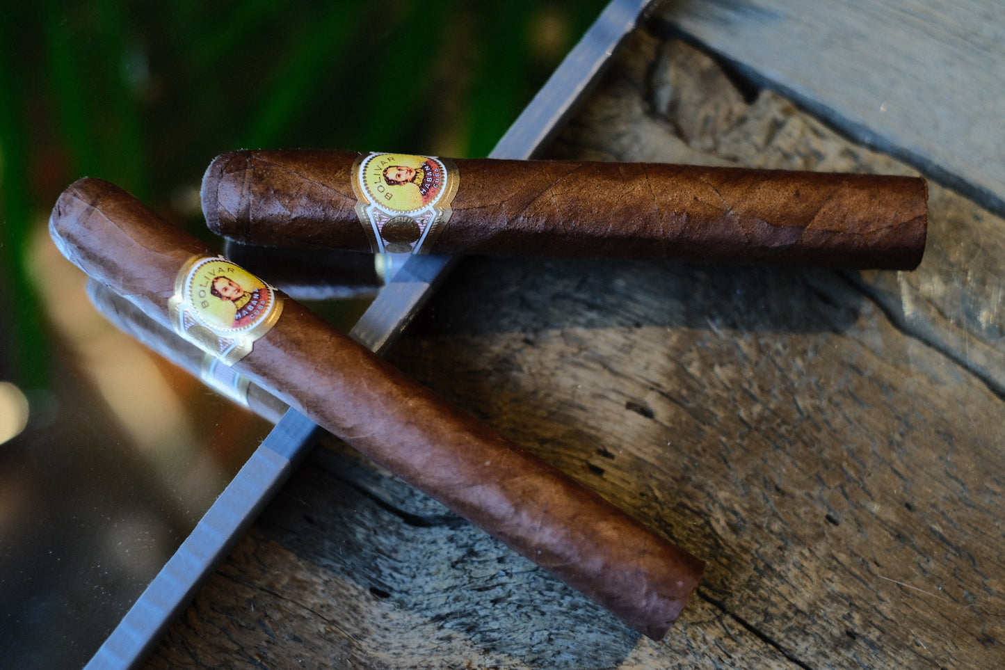 Bolivar Petit Coronas HR