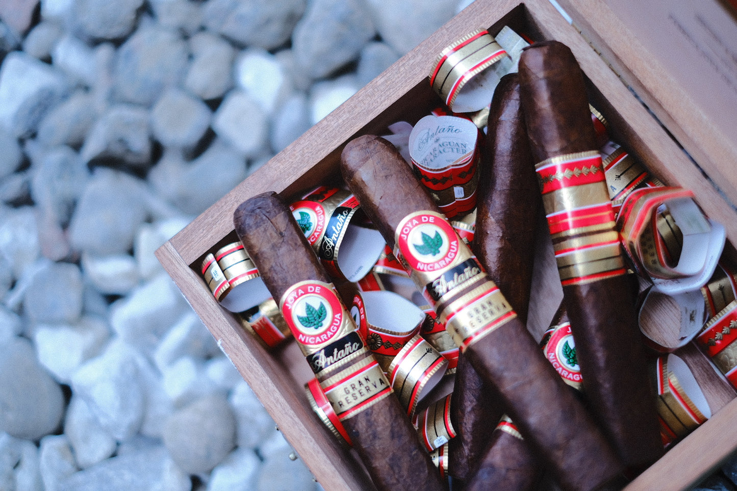 Joya de Nicaragua - Antaño 1970 Gran Reserva Robusto Grande