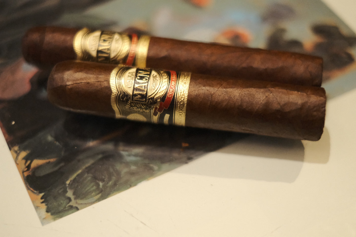 Casa Magna Torito