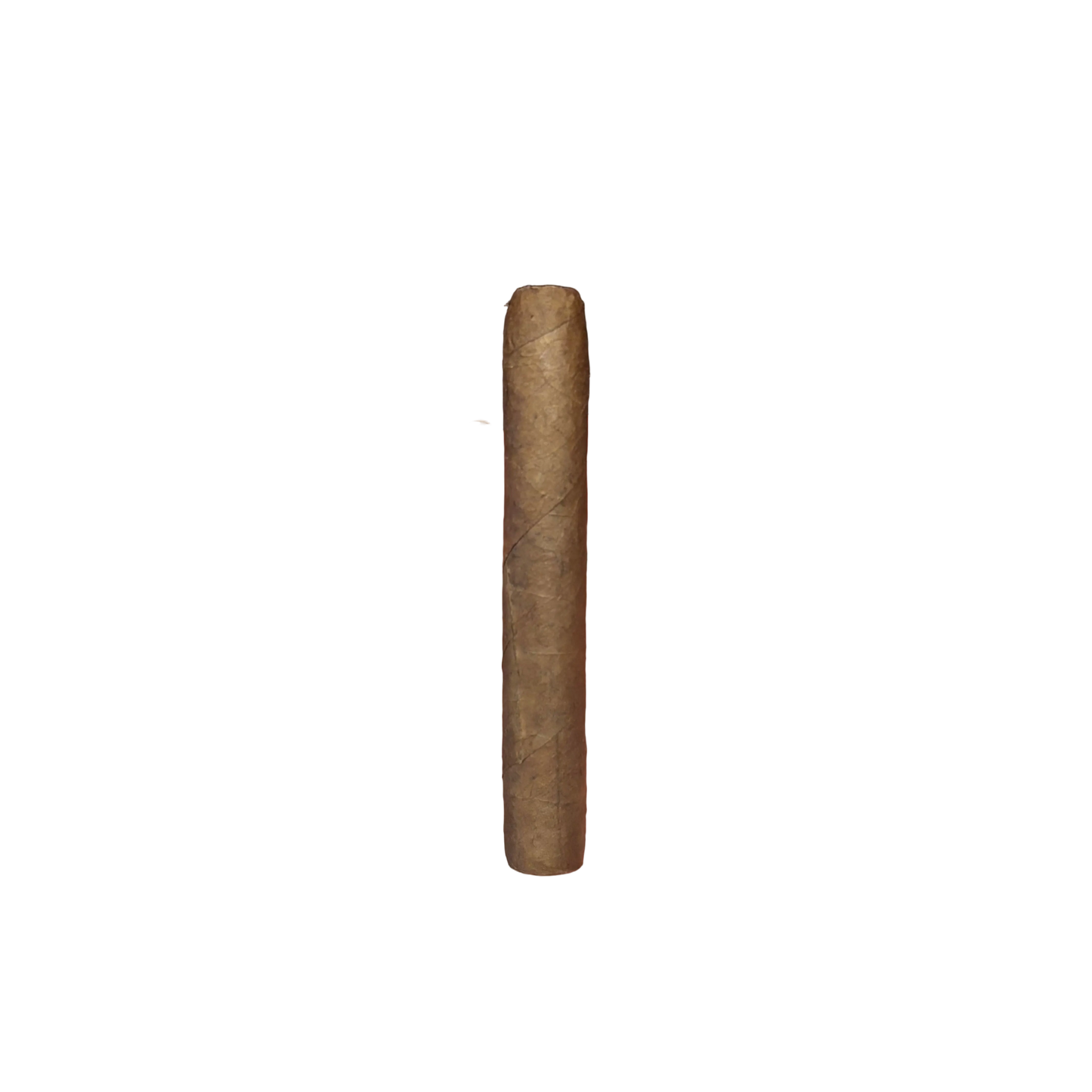 HOH Euro Half Corona Natural