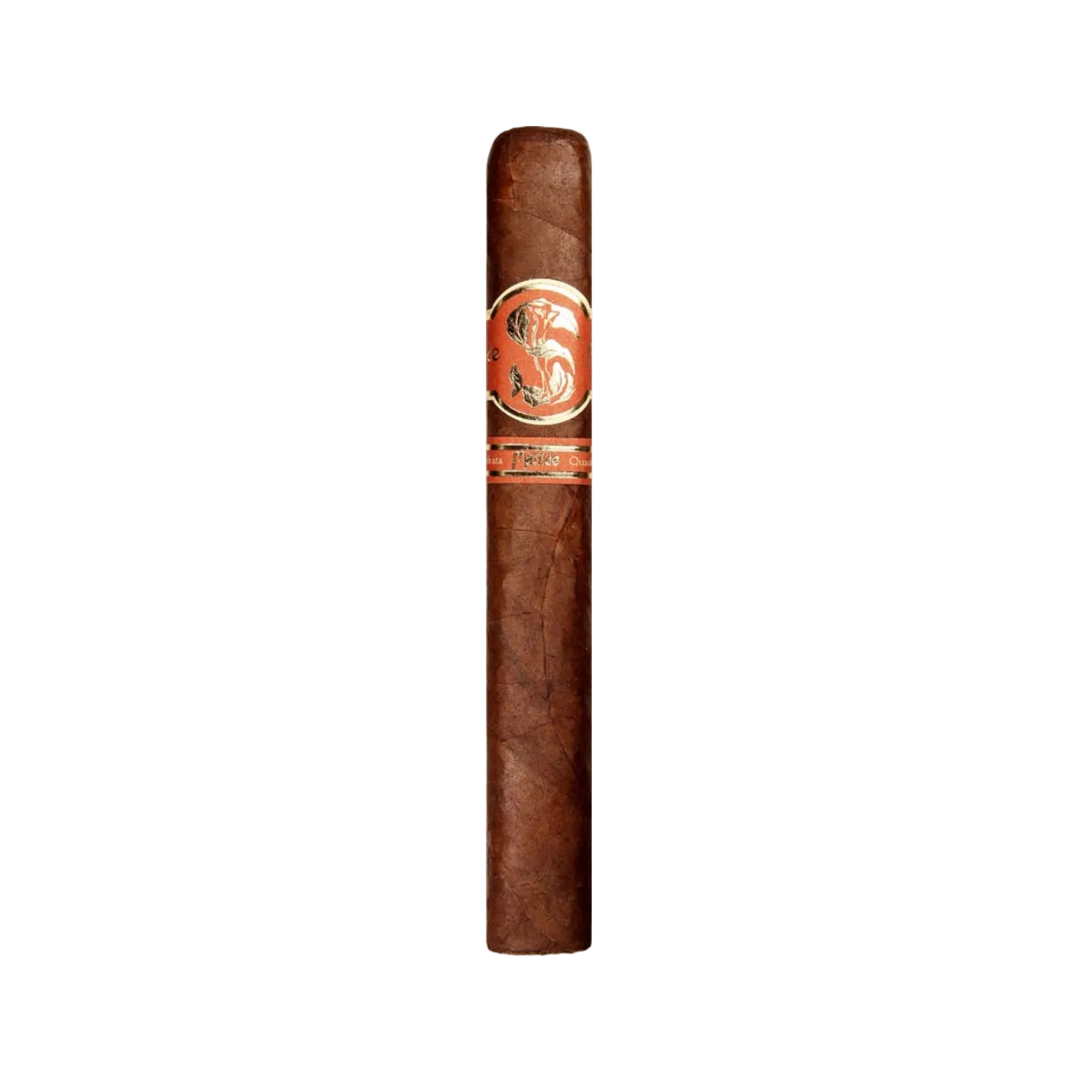 Matilde Quadrata Toro