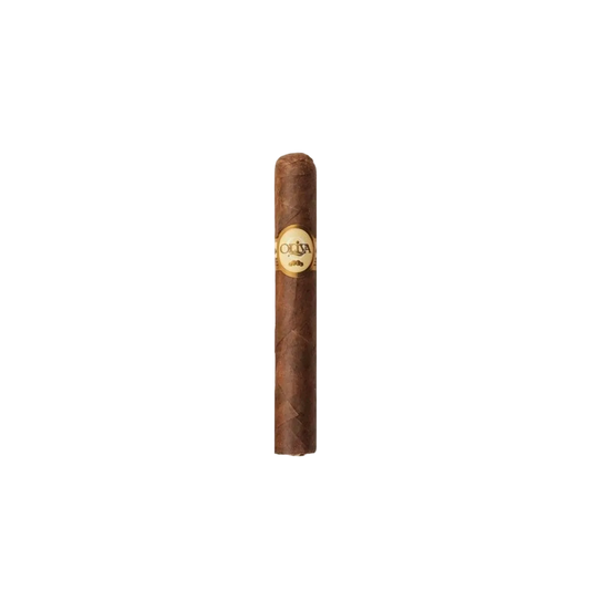 Oliva Serie G Petit Corona