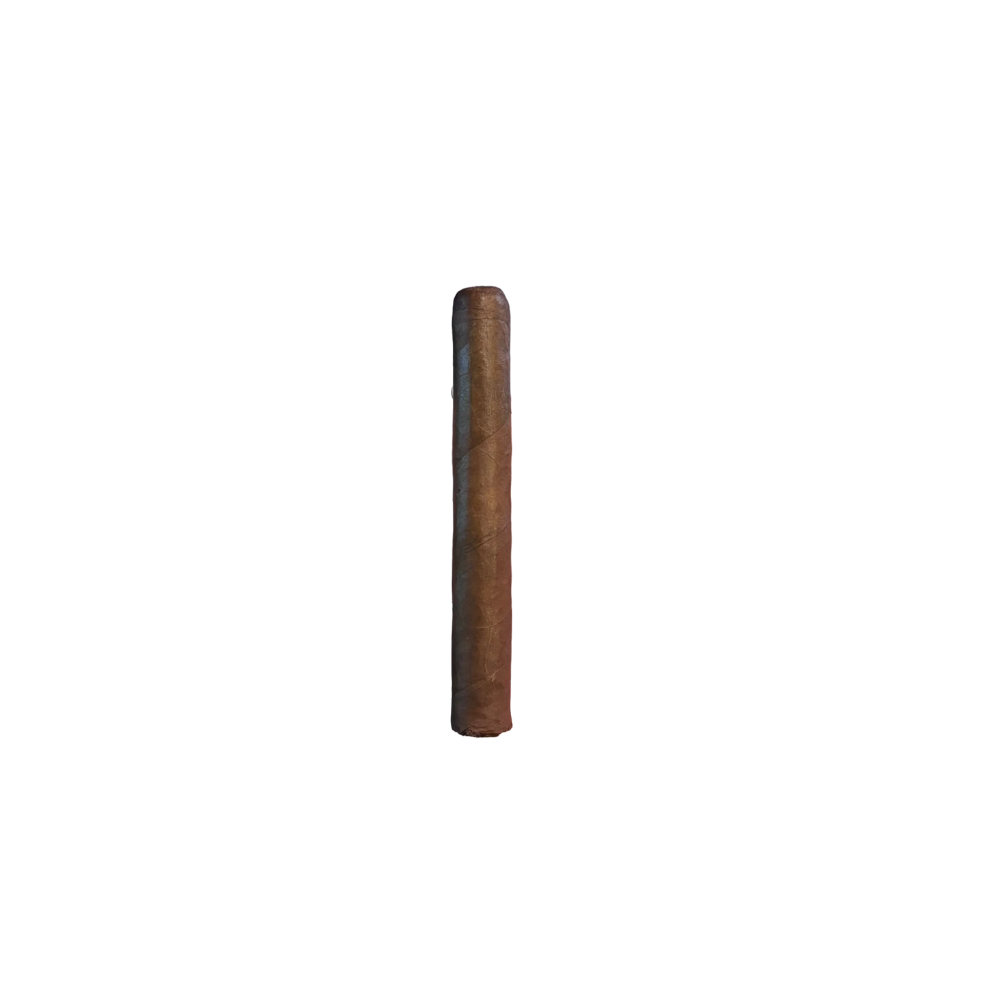 Arista Chicos Maduro