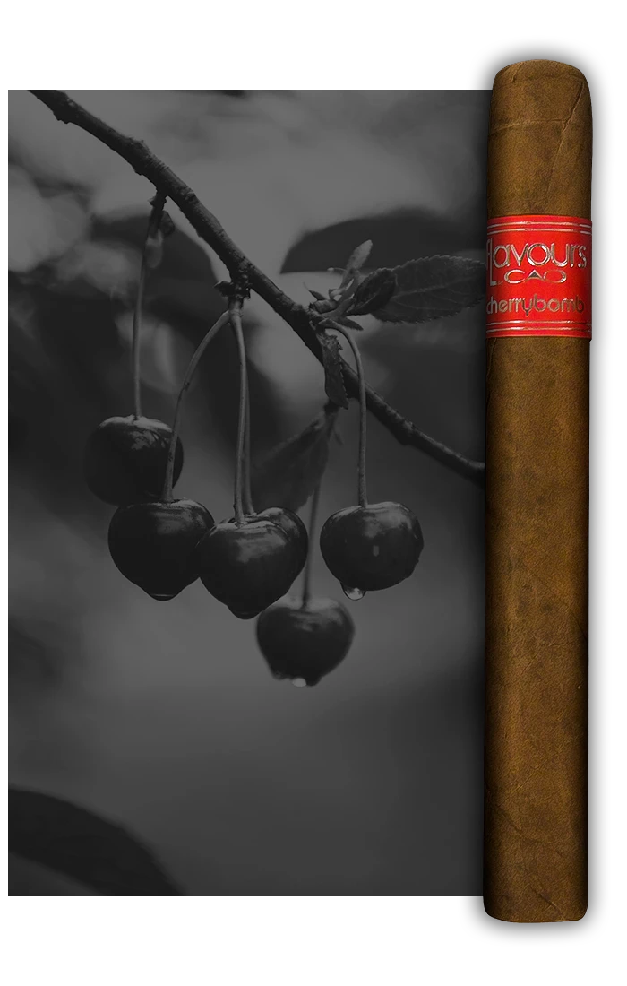 CAO Cherry Bomb Petit Corona