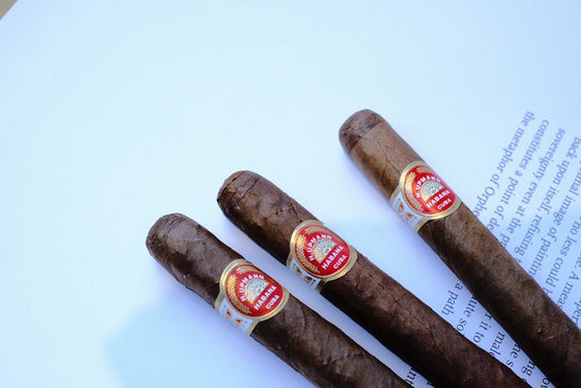 H. Upmann Majestic