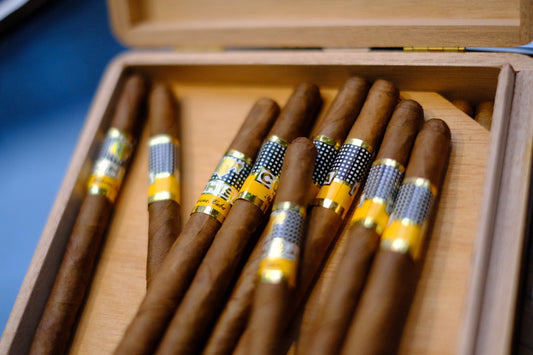 Cohiba Panetela (2019) Box 25