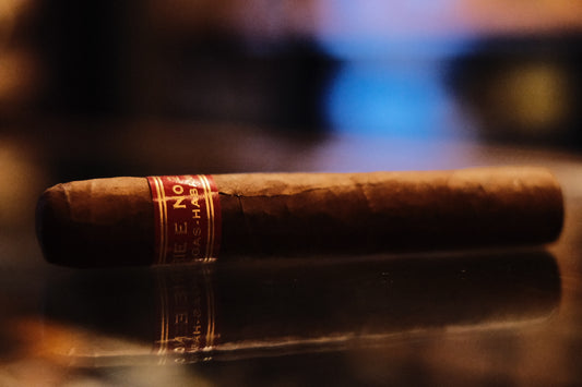 Partagas Serie E No. 2 HR